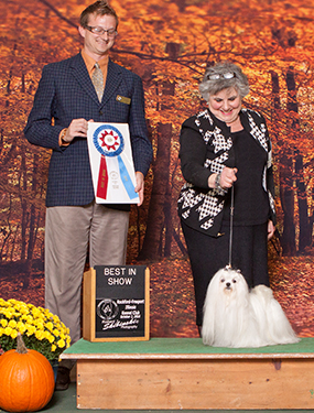 breed